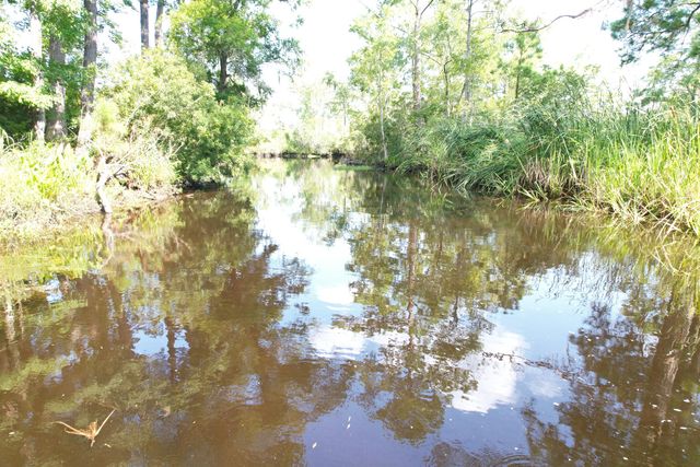 538 Castlebury Road, Walterboro, SC 29488