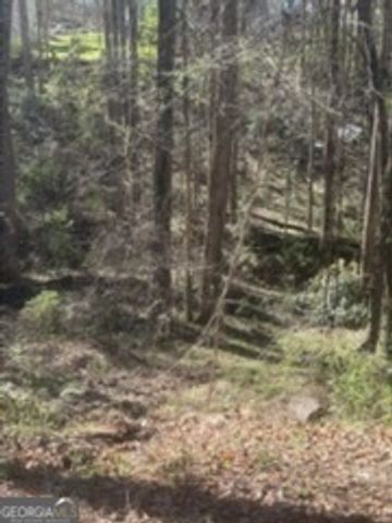 11005 Regents Court, Hampton, GA 30228