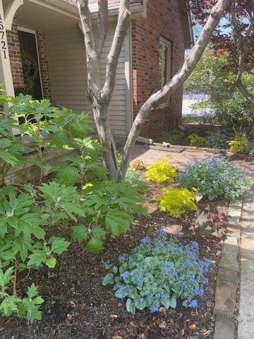 15721 W 145th Street, Olathe, KS 66062