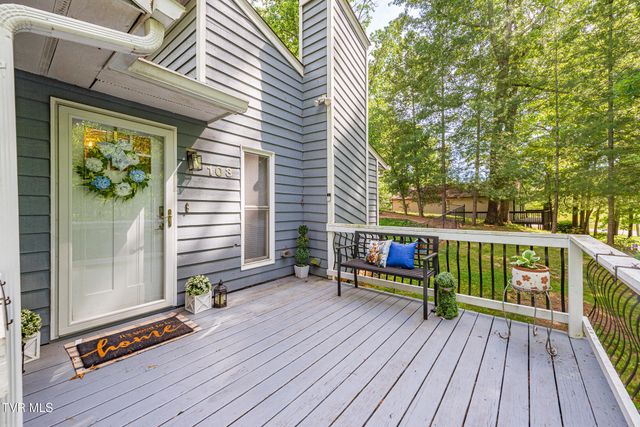 103 Silkwood Court, Johnson City, TN 37615