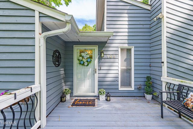 103 Silkwood Court, Johnson City, TN 37615