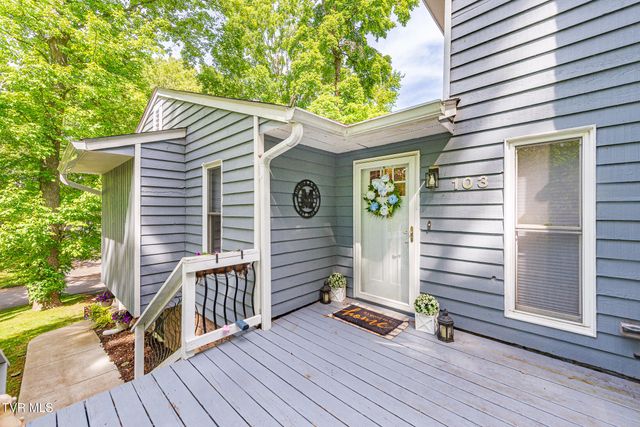 103 Silkwood Court, Johnson City, TN 37615
