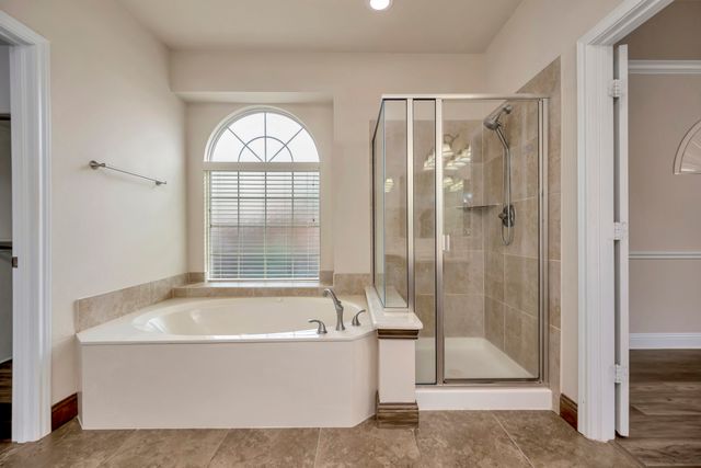 6001 Lacebark Elm Drive, Fort Worth, TX 76123