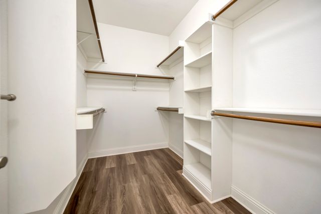 6001 Lacebark Elm Drive, Fort Worth, TX 76123