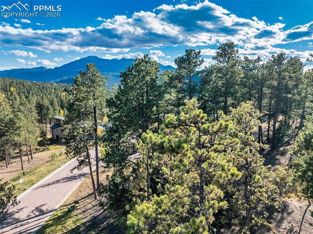 270 Thunder Ridge Drive, Woodland Park, CO 80863 — photo 3