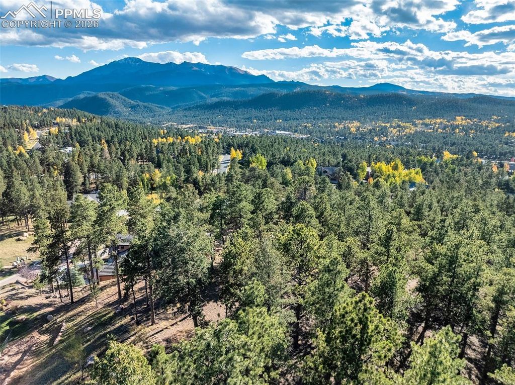 270 Thunder Ridge Drive, Woodland Park, CO 80863 — photo 4