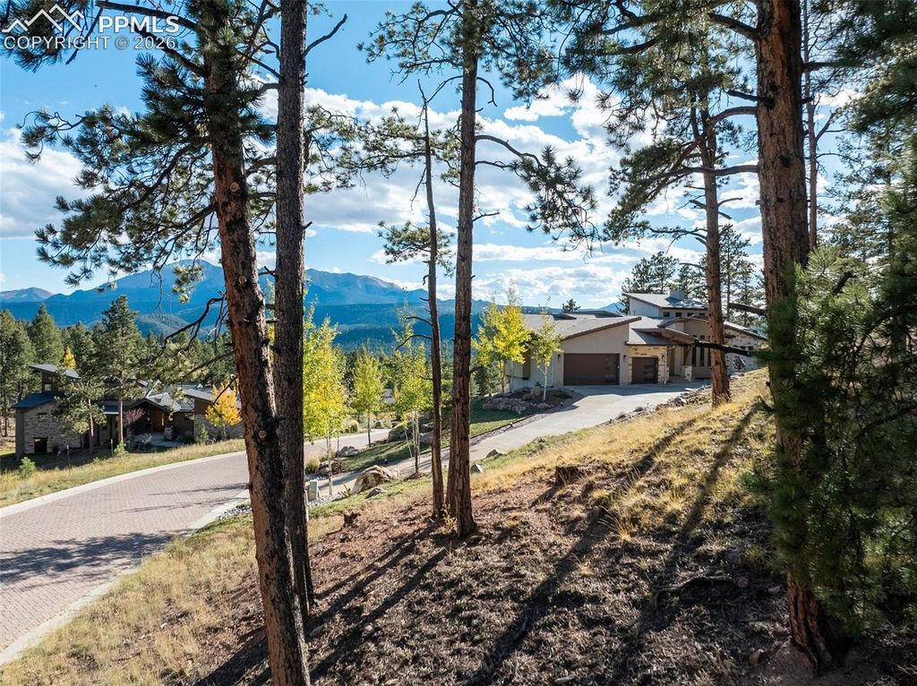 270 Thunder Ridge Drive, Woodland Park, CO 80863 — photo 5