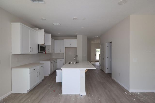 1429 HYDE STREET, St Cloud, FL 34771