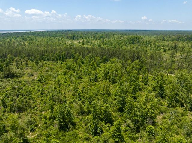 TBD Chita Cemetery Road, Trinity, TX 75862