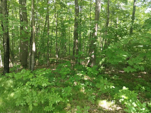 3278 Unit #2 Highway 65, Mora, MN 55051