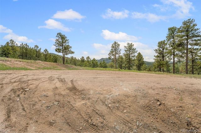 4801 Forest Hill Road, Evergreen, CO 80439