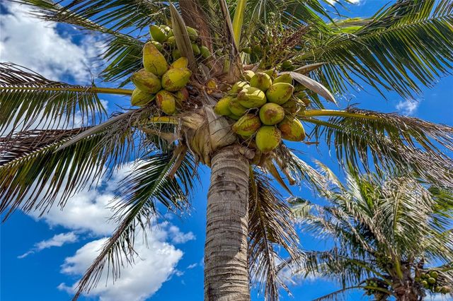 6875 MANASOTA KEY ROAD, Englewood, FL 34223