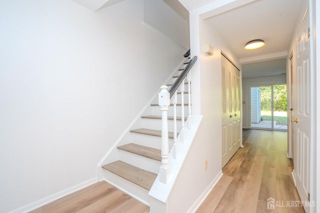 49 Cottonwood Court, South Brunswick, NJ 08852