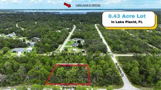 929 Breezy Road, Lake Placid, FL 33852