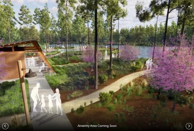 8662 Jam Session Drive, Montgomery, TX 77316