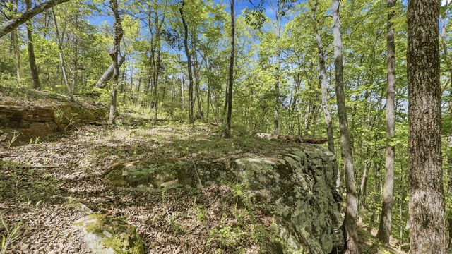 0 Worley Road Lot 43, Soddy Daisy, TN 37379