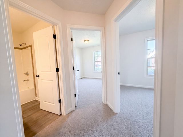 3475 Melrose Dr, Clarksville, TN 37042
