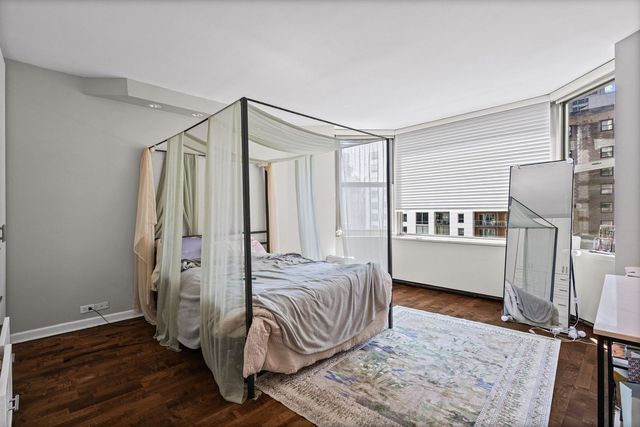535 N Michigan Avenue 2306, Chicago, IL 60611