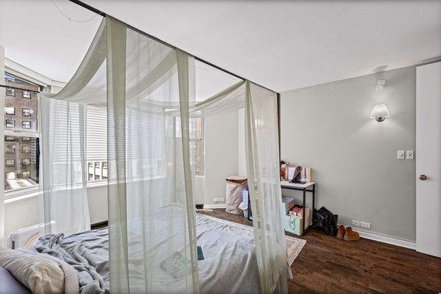 535 N Michigan Avenue 2306, Chicago, IL 60611