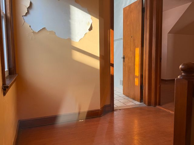 9134 S paxton Avenue, Chicago, IL 60617