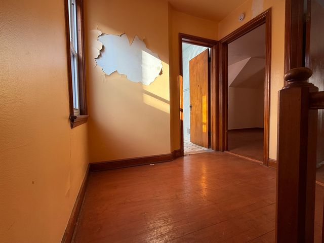 9134 S paxton Avenue, Chicago, IL 60617