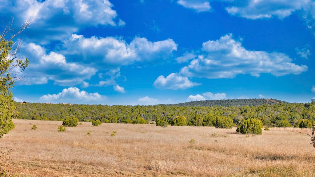 Image 34 of property listing at 50 Manzano Morning Drive, Estancia, NM 87016