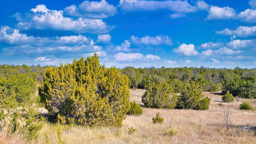 Image 35 of property listing at 50 Manzano Morning Drive, Estancia, NM 87016
