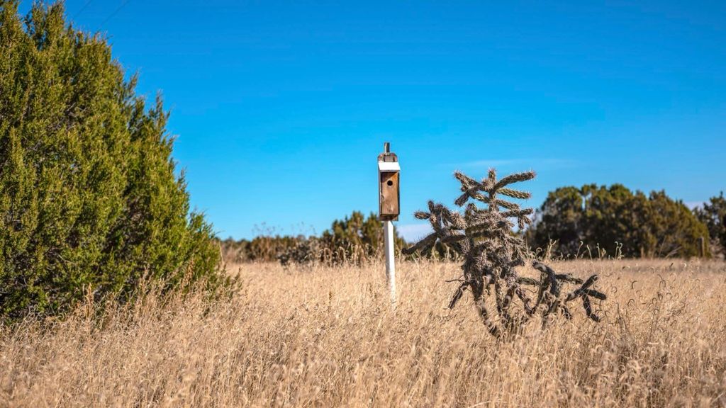 Image 36 of property listing at 50 Manzano Morning Drive, Estancia, NM 87016