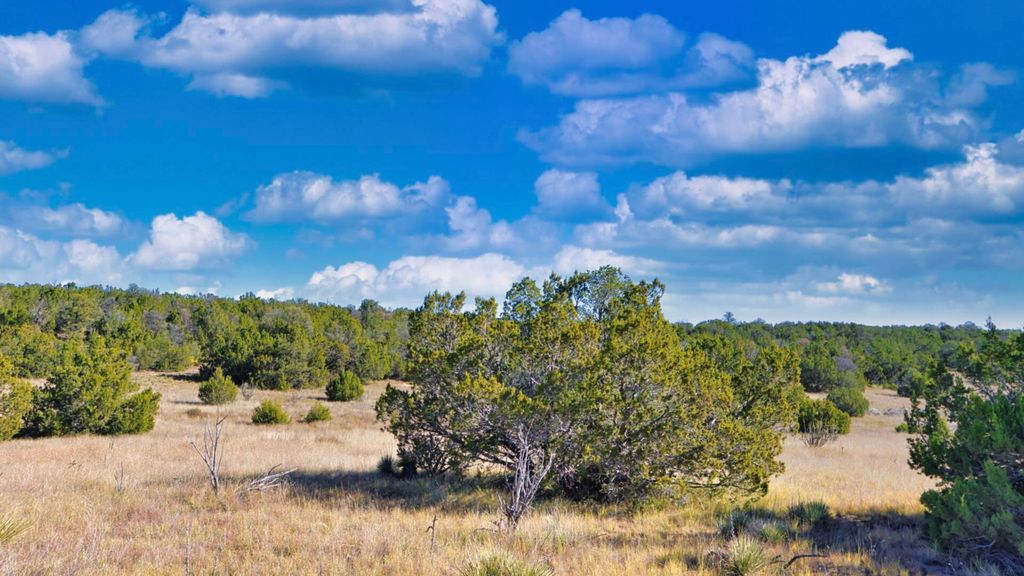 Image 37 of property listing at 50 Manzano Morning Drive, Estancia, NM 87016