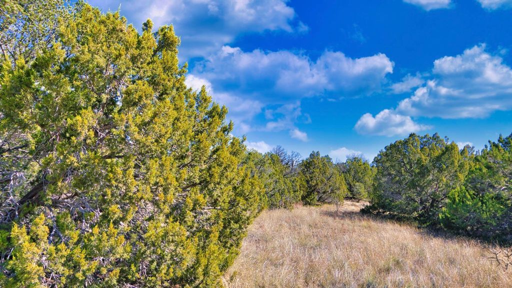 Image 38 of property listing at 50 Manzano Morning Drive, Estancia, NM 87016