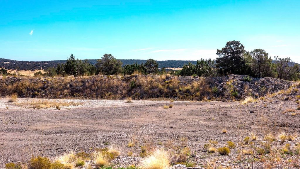 Image 39 of property listing at 50 Manzano Morning Drive, Estancia, NM 87016