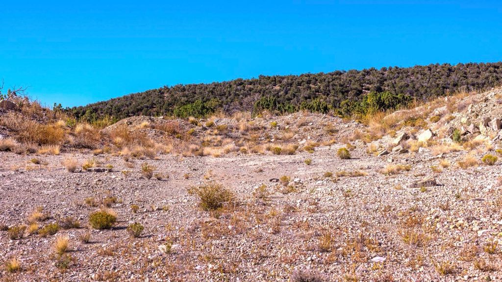 Image 40 of property listing at 50 Manzano Morning Drive, Estancia, NM 87016