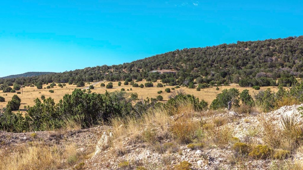 Image 46 of property listing at 50 Manzano Morning Drive, Estancia, NM 87016