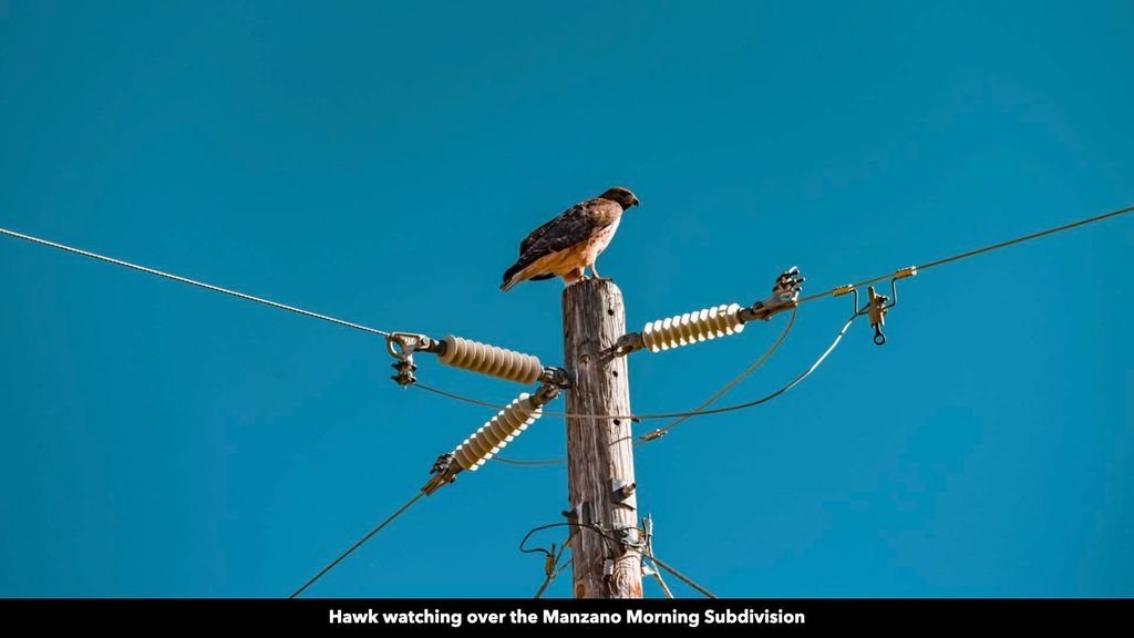 Image 47 of property listing at 50 Manzano Morning Drive, Estancia, NM 87016