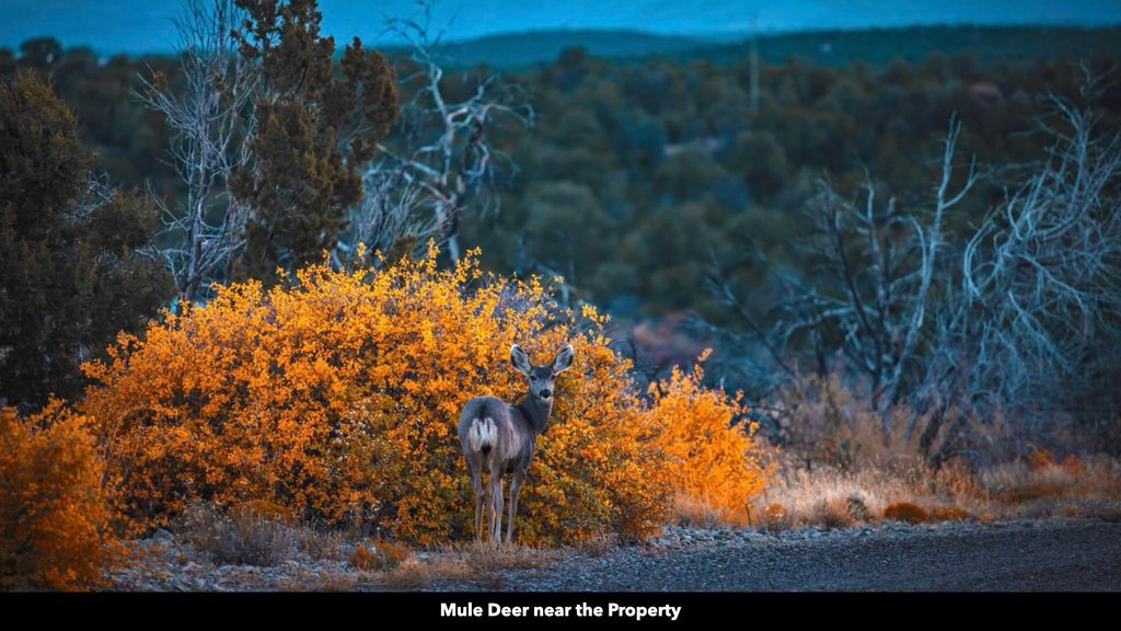 Image 48 of property listing at 50 Manzano Morning Drive, Estancia, NM 87016