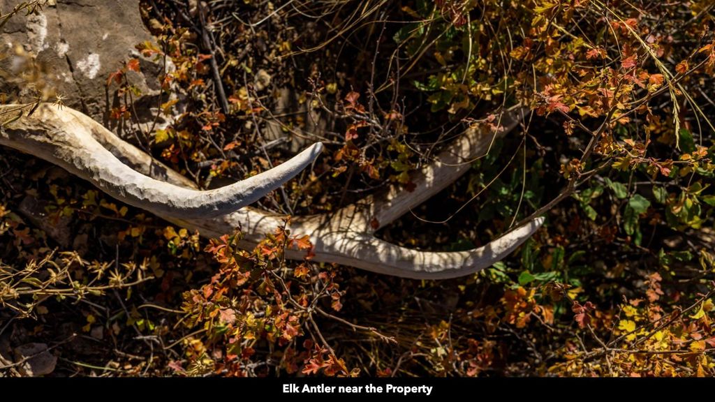 Image 49 of property listing at 50 Manzano Morning Drive, Estancia, NM 87016