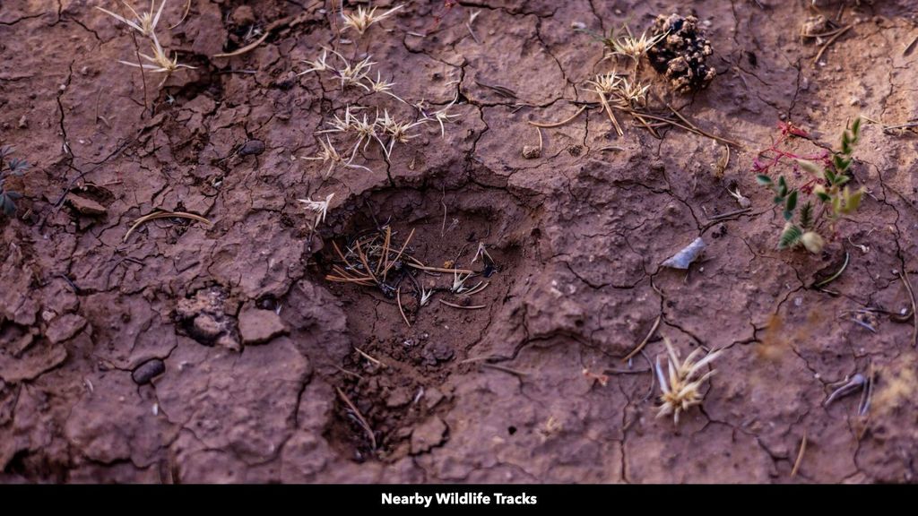 Image 50 of property listing at 50 Manzano Morning Drive, Estancia, NM 87016