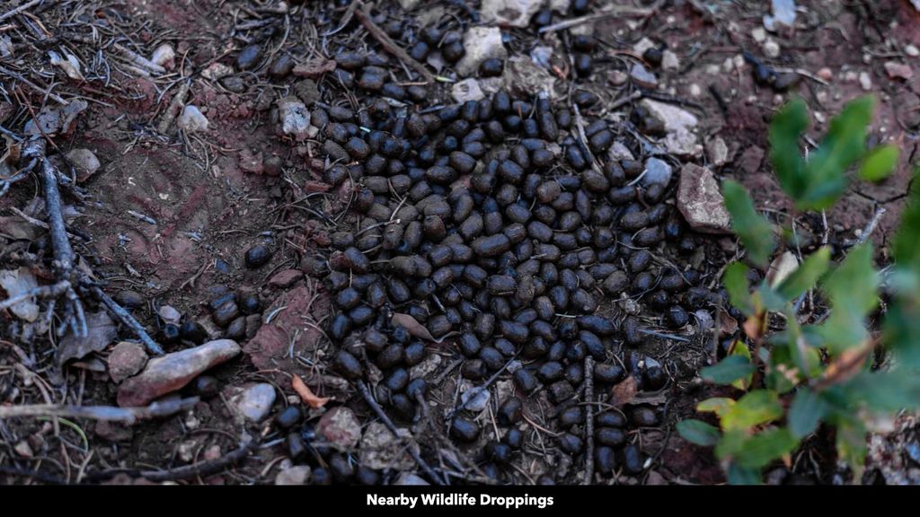 Image 51 of property listing at 50 Manzano Morning Drive, Estancia, NM 87016