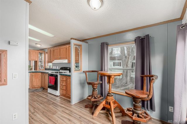 4 Zodiac Street, Golden, CO 80401