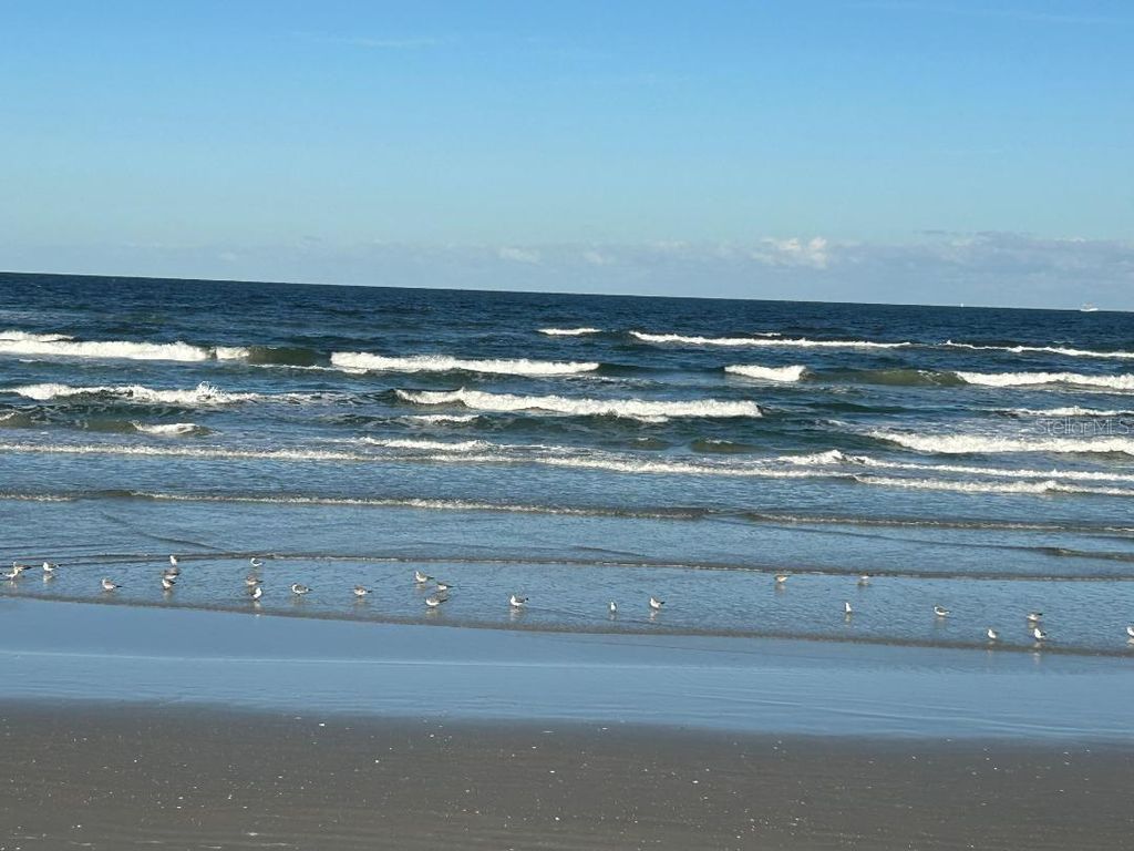 Image 58 of property listing at 801 SANDPIPER AVENUE, New Smyrna Beach, FL 32169