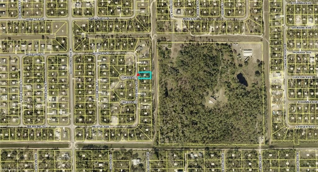 1828 Verney ST, LEHIGH ACRES, FL 33972 — photo 4