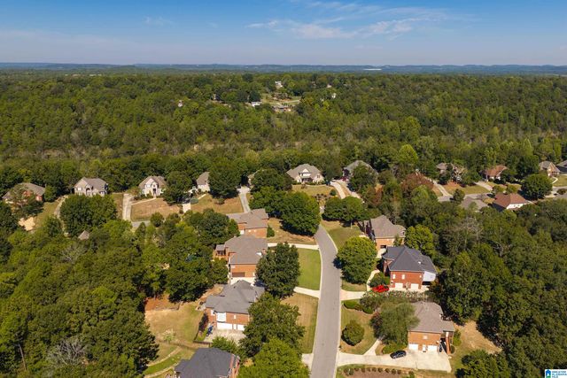 1005 WOODLANDS COVE, Helena, AL 35080
