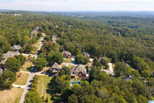 1005 WOODLANDS COVE, Helena, AL 35080