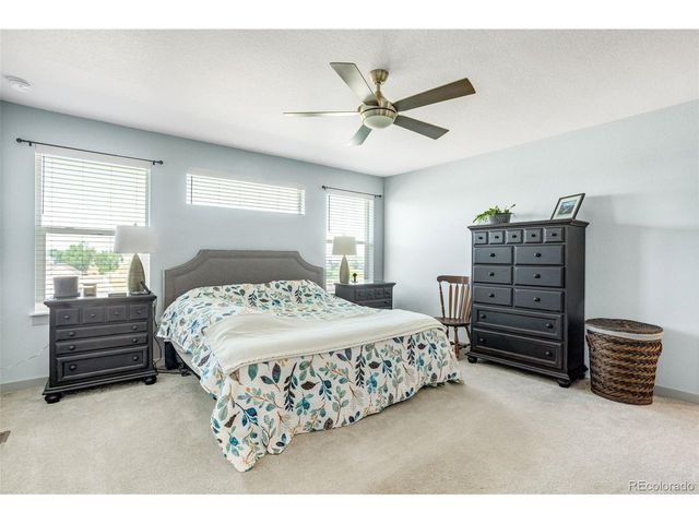 16521 Tree Haven St, Hudson, CO 80642