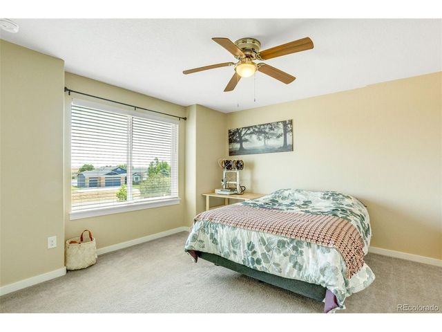 16521 Tree Haven St, Hudson, CO 80642