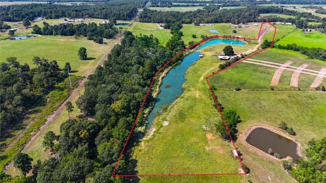 10802 County Road 203, Plantersville, TX 77363