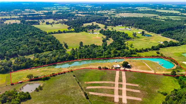 10802 County Road 203, Plantersville, TX 77363