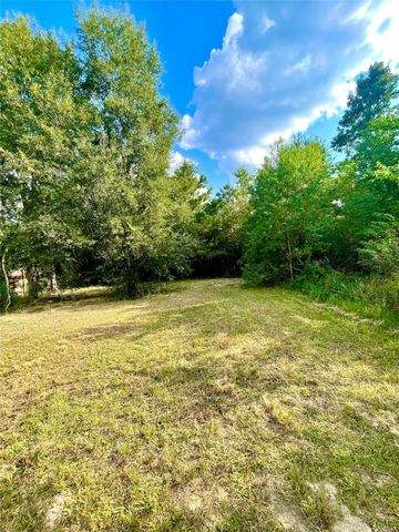 3277 County Road 3479b, Cleveland, TX 77327