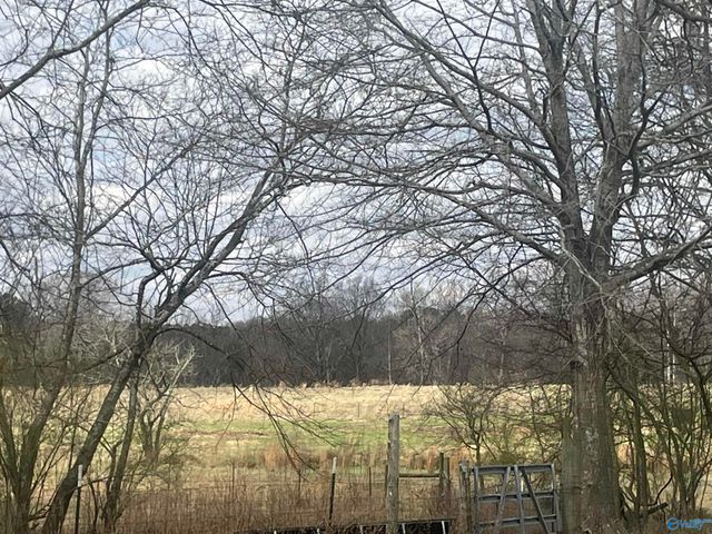 1267 County Road 135, Town Creek, AL 35672