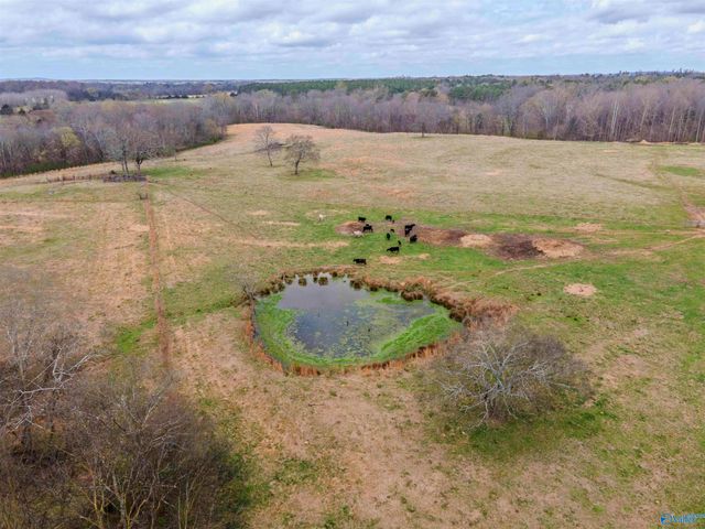 1267 County Road 135, Town Creek, AL 35672